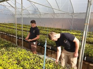 Agricolleges International