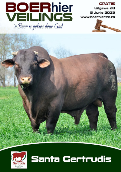 BOERhier Veilings Uitgawe 28