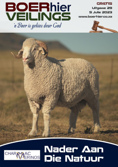 BOERhier Veilings Uitgawe 29