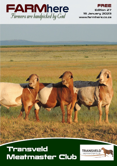FARMhere Edition 27