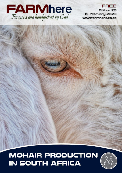 FARMhere Edition 28