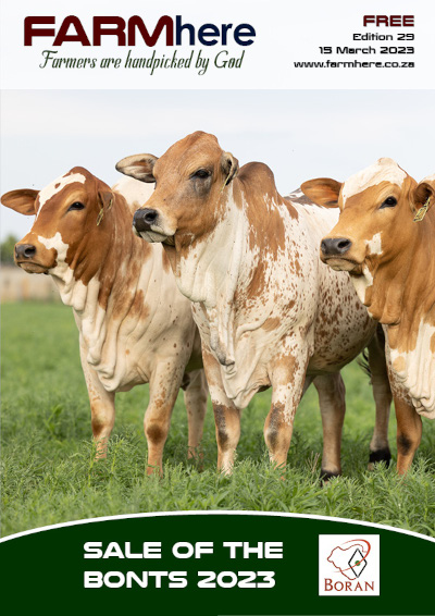 FARMhere Edition 29
