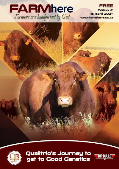 FARMhere Edition 41