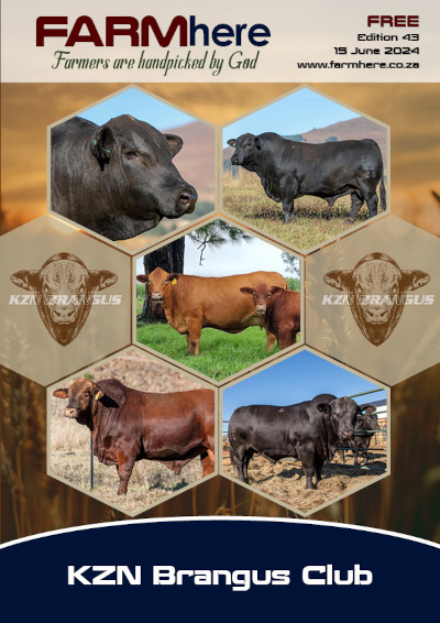 FARMhere Edition 43
