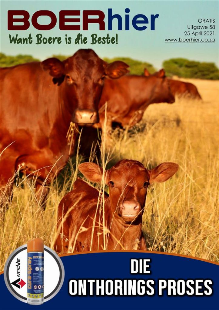 BOERhier Uitgawe 58
