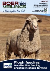 BOERhier Veilings Uitgawe 47