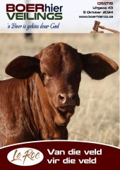 BOERhier Veilings Uitgawe 43