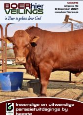 BOERhier Veilings uItgawe 45