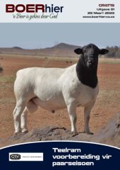 BOERhier Uitgawe 81