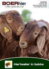 BOERhier Uitgawe 88