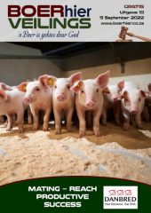 BOERhier Veilings Uitgawe 19