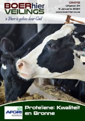 BOERhier Veilings Uitgawe 34