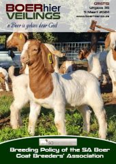 BOERhier Veilings Uitgawe 36