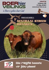 BOERhier Veilings Uitgawe 38