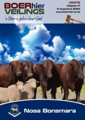BOERhier Veilings Uitgawe 41