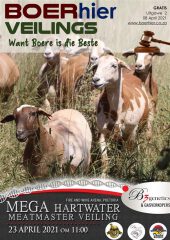 FARMhere Auctions Edition 2