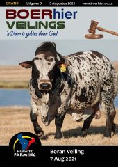 FARMhere Auctions Edition 6