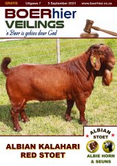 FARMhere Auctions Edition 7