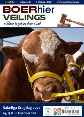 FARMhere Auctions Edition 8
