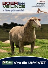 BOERhier Veilings uitgawe 40