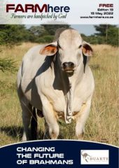 FARMhere Edition 19