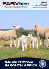 FARMhere Edition 22