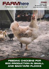 FARMhere Edition 24