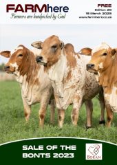 FARMhere Edition 29