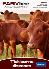 FARMhere Edition 30