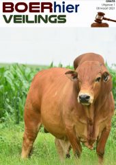 FARMhere Auctions Edition 1