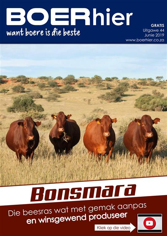 BOERhier Uitgawe 44